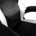 Gaming Chair Nitro Concepts C100 - Black / White